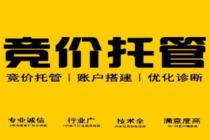探索SEM托管公司经典案例：助力企业快速成长